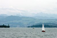 IMGP0341