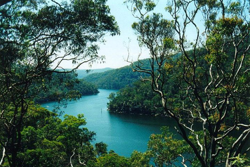 Ku-Ring-Gai National Park - fjord 