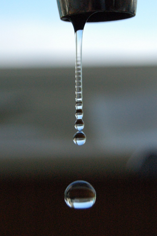 dsc_5025-v
