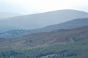 dsc_5608