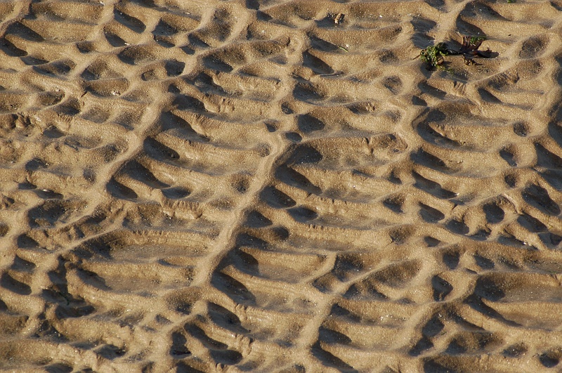 dsc_5868