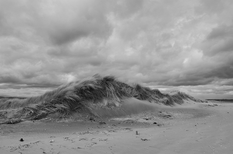 dsc_0985-bw-kontrst
