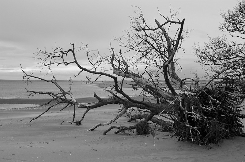 dsc_0995-bw-kontrast