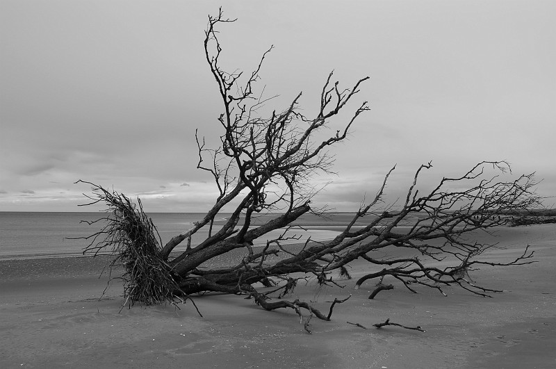 dsc_0997-bw-kontrast