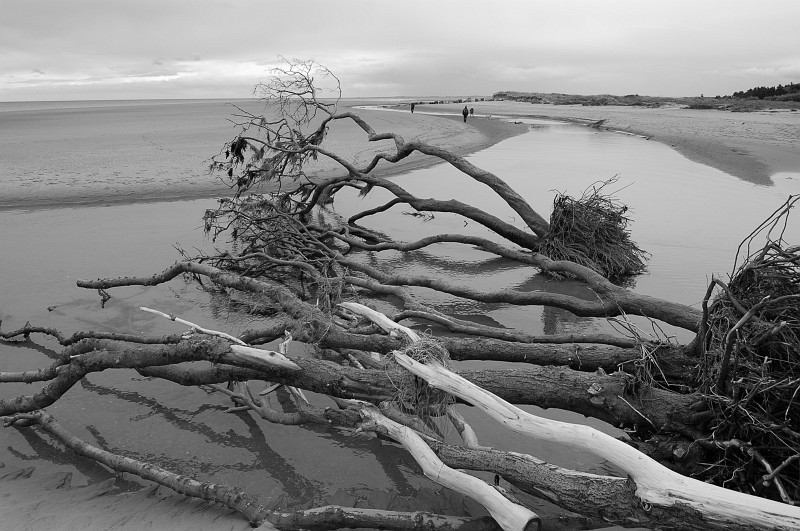 dsc_0999-bw