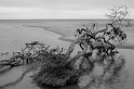 dsc_1002-bw-contrast
