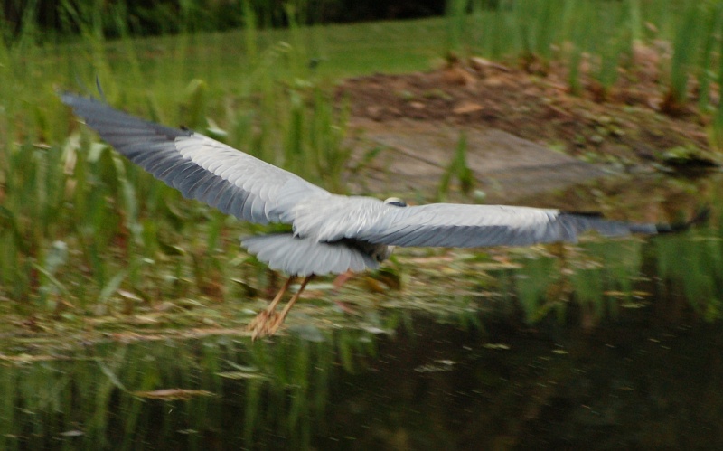dsc_0724-vyrez