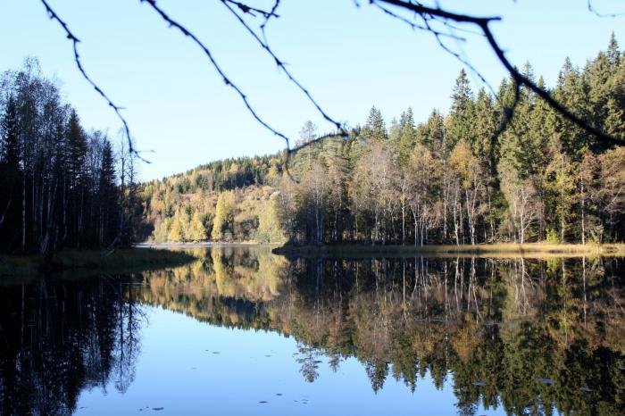 Všechno je krásné hned dvakrát (Fortjern).