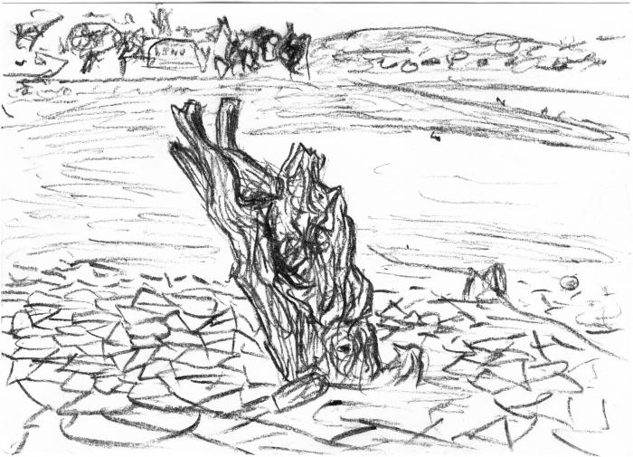Cyklovýlet k vypuštěné přehradě, pahýl stromu, 2. 8. 2009